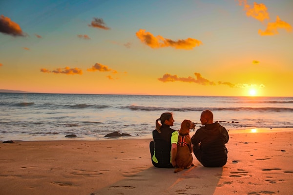 Couple with dog in the middle sitting on the beach at sunset